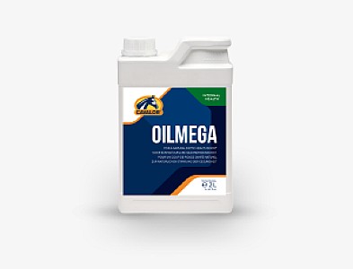OilMega+pompe