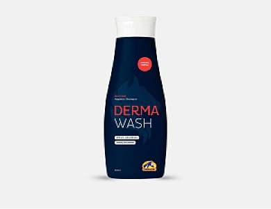 DermaWash+Pompe