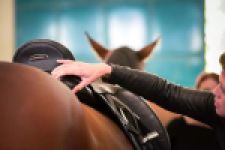 Sellier/Saddle-fit/Bit-fit