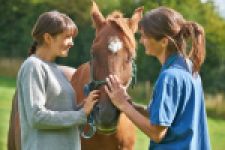 Vétérinaire/dentiste/nutritionniste