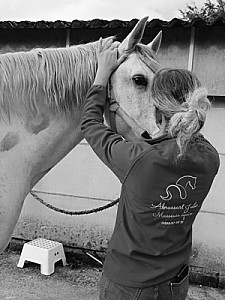 Massage sportif complet