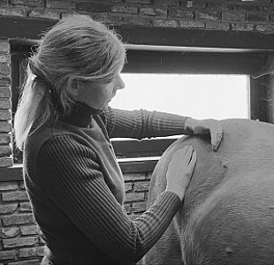 Massage sportif complet