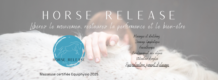 Bannière Horse Release