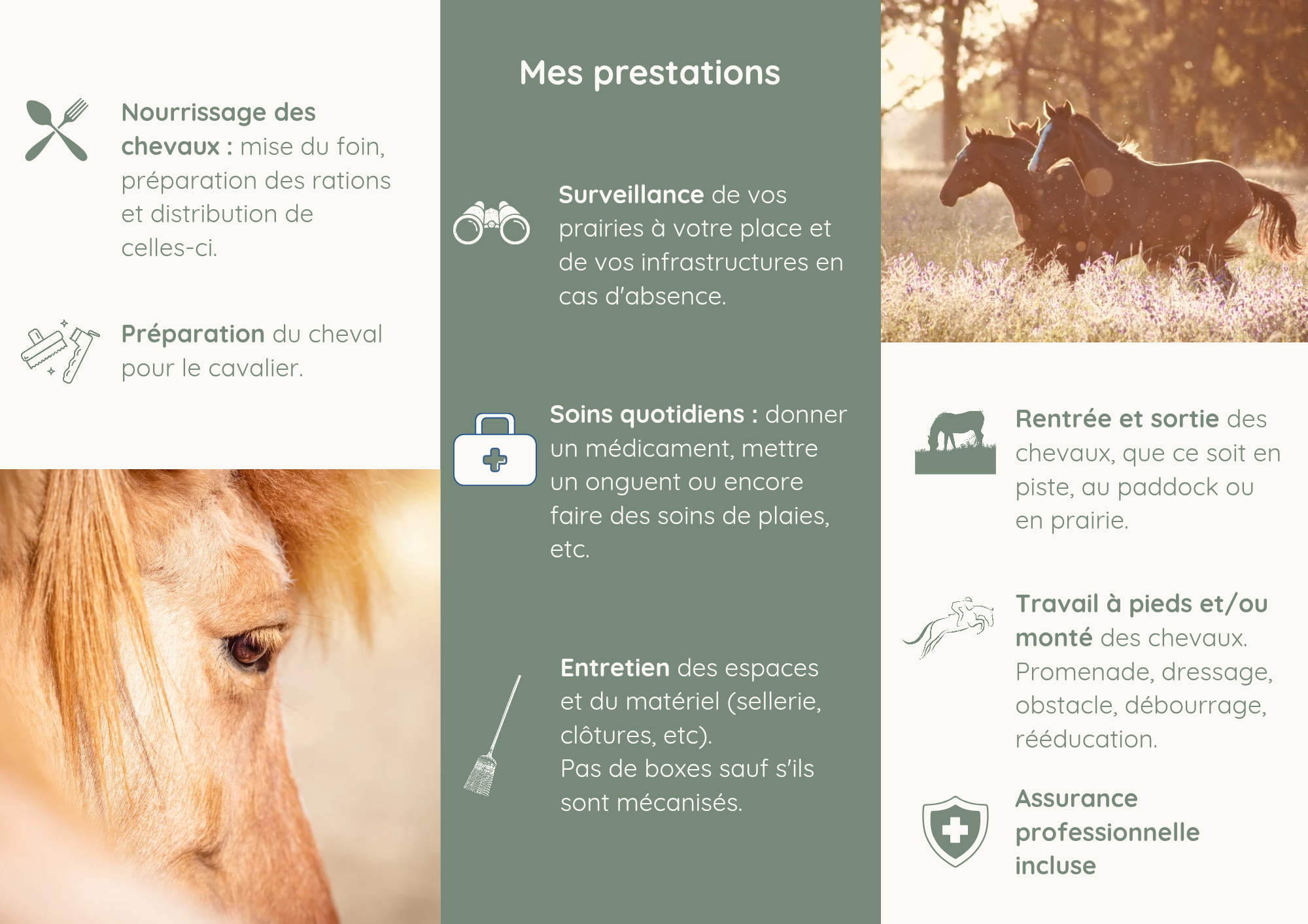 Bannière Horserenity