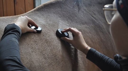 Massage pierres chaudes