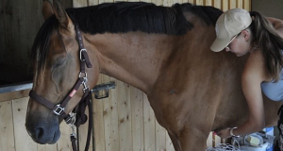 Massage de préparation ou de récupération