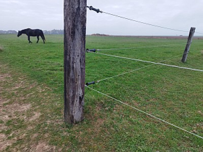 Création/réparation de clôtures