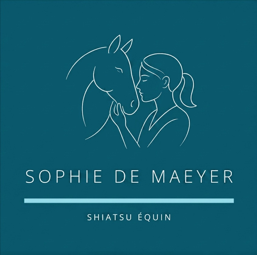 Sophie De Maeyer - shiatsu équin