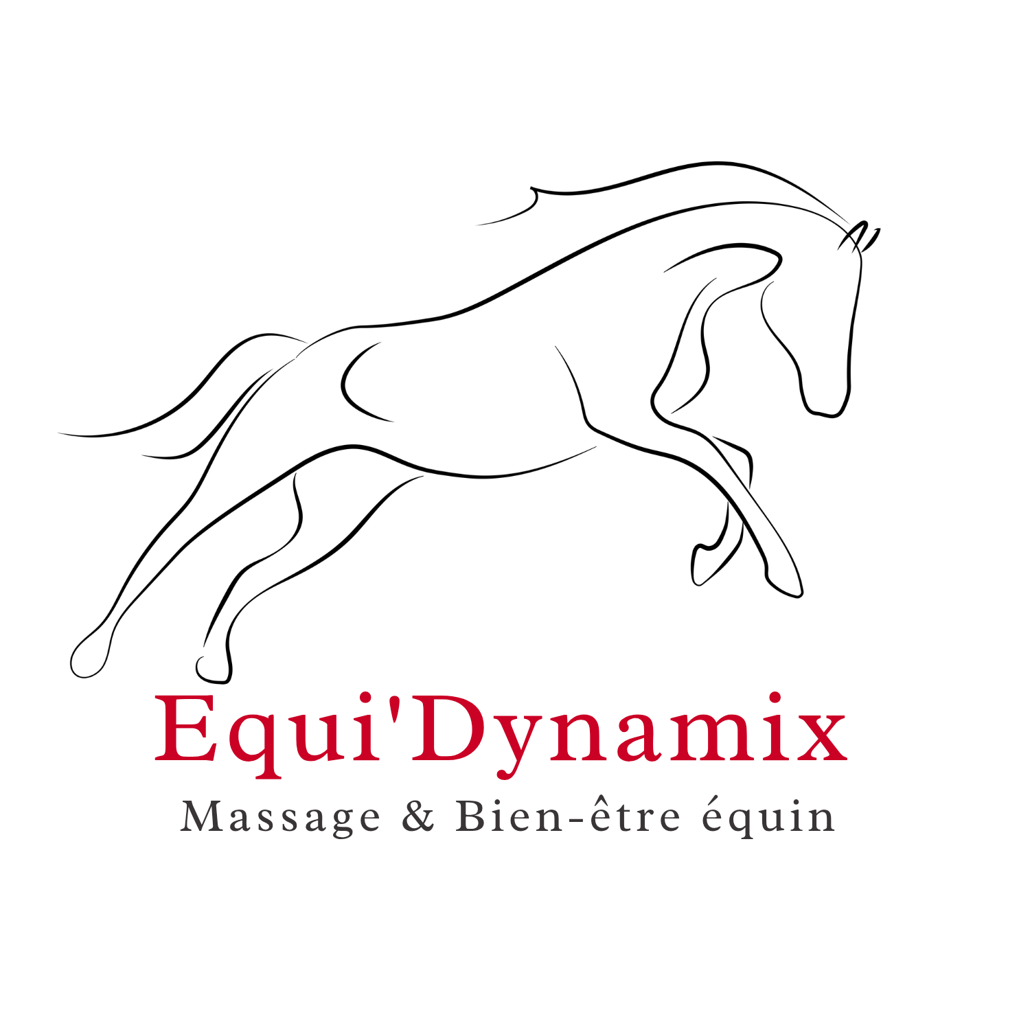 Logo Equi'Dynamix 🔸 Massage Sportif Équin & Bien-être