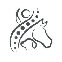 Equi-kiné