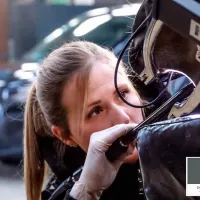 Dr. Alexandra Josse - Vétérinaire Dentiste Equin