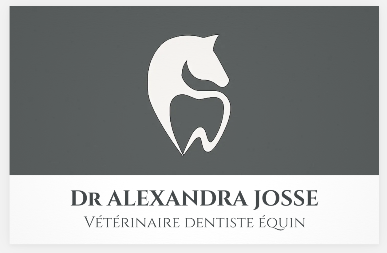 Dr. Alexandra Josse - Vétérinaire Dentiste Equin