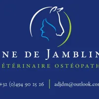 Anne de Jamblinne