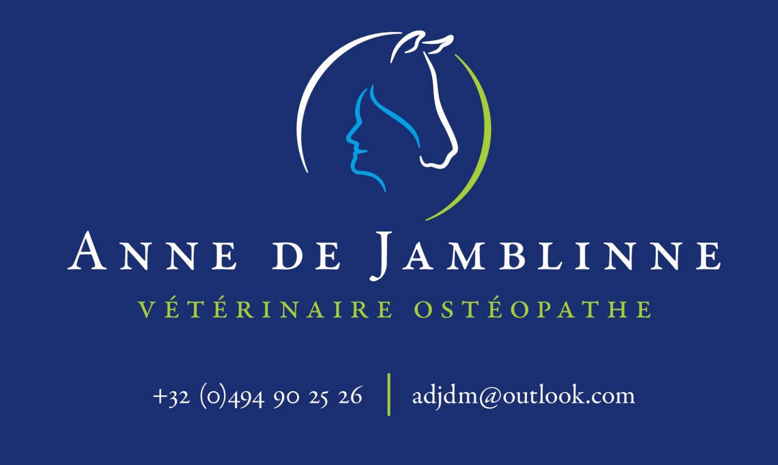 Anne de Jamblinne