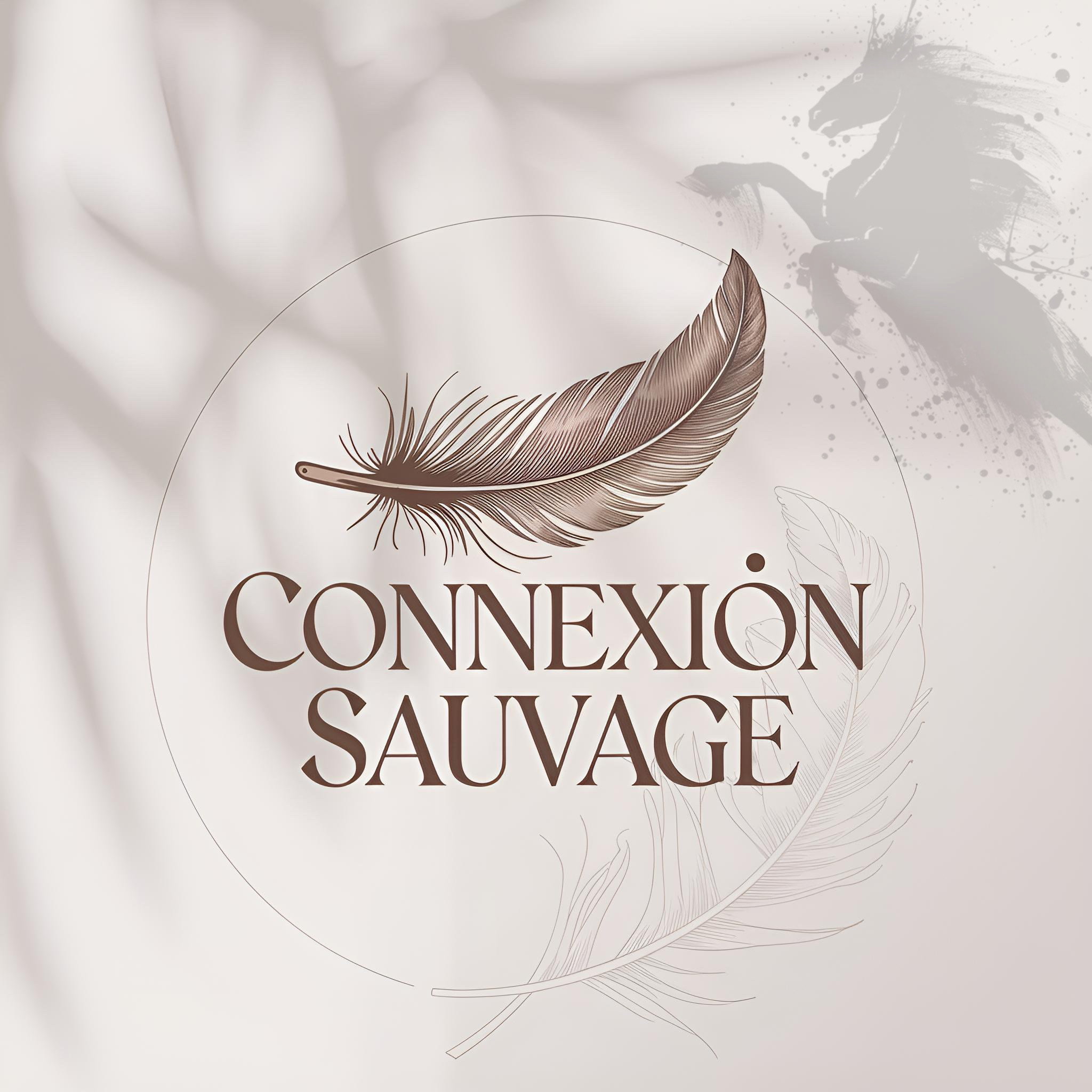 Connexion Sauvage