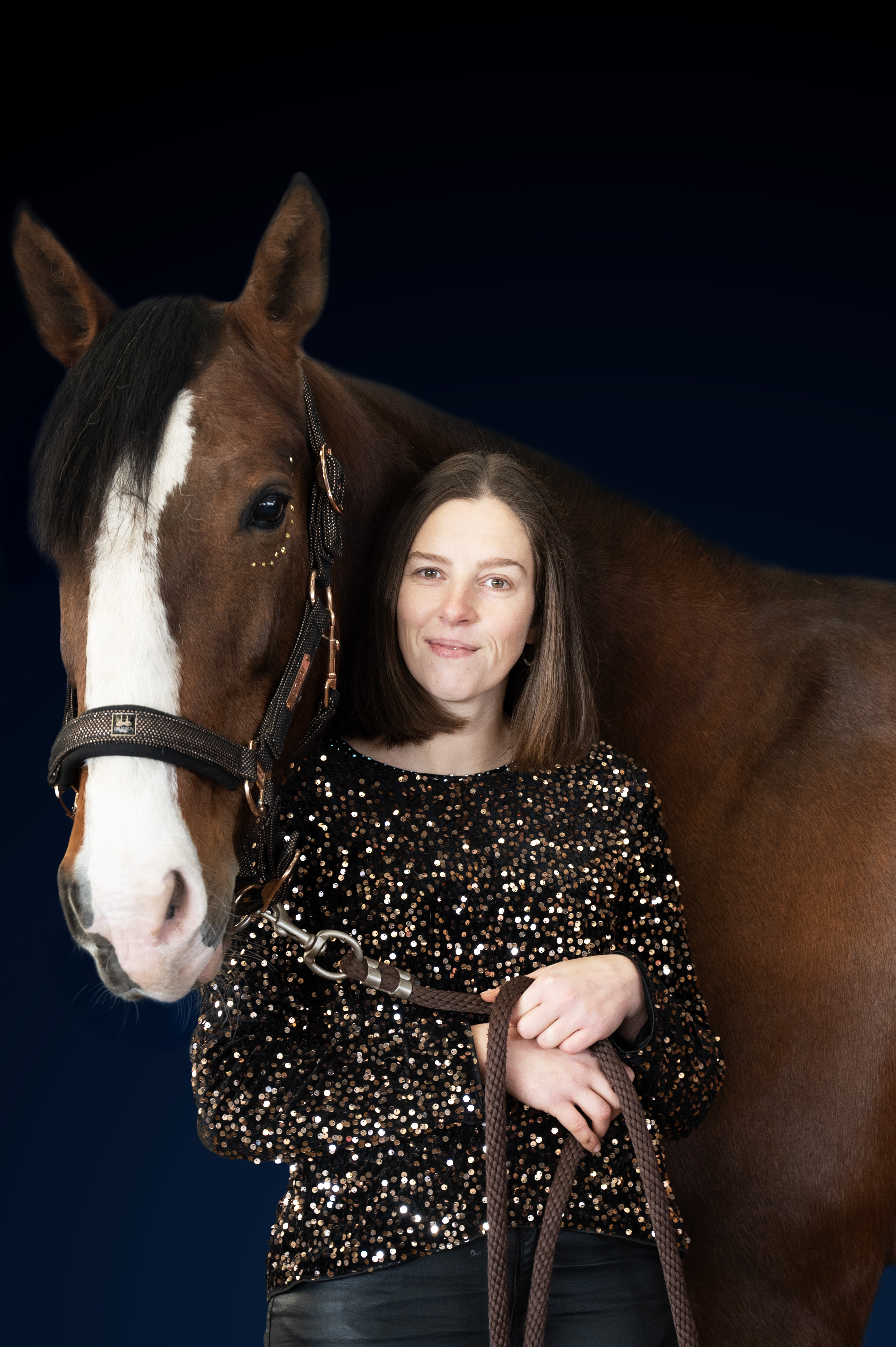Logo SD Equine Sports massage