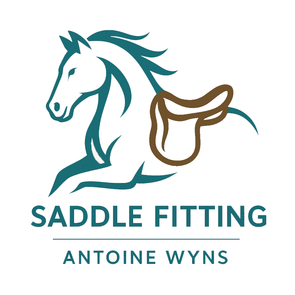 Antoine Wyns - Saddle fitting et ergonomie équine