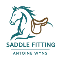 Antoine Wyns - Saddle fitting et ergonomie équine