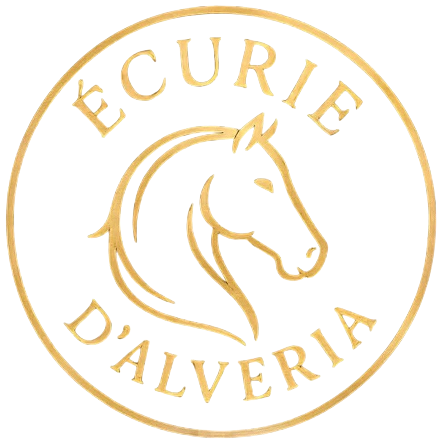 Logo Alberti Nicola