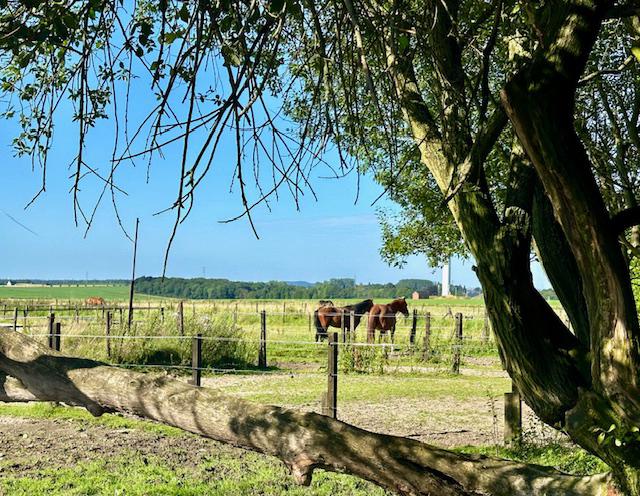 Domaine du bowi