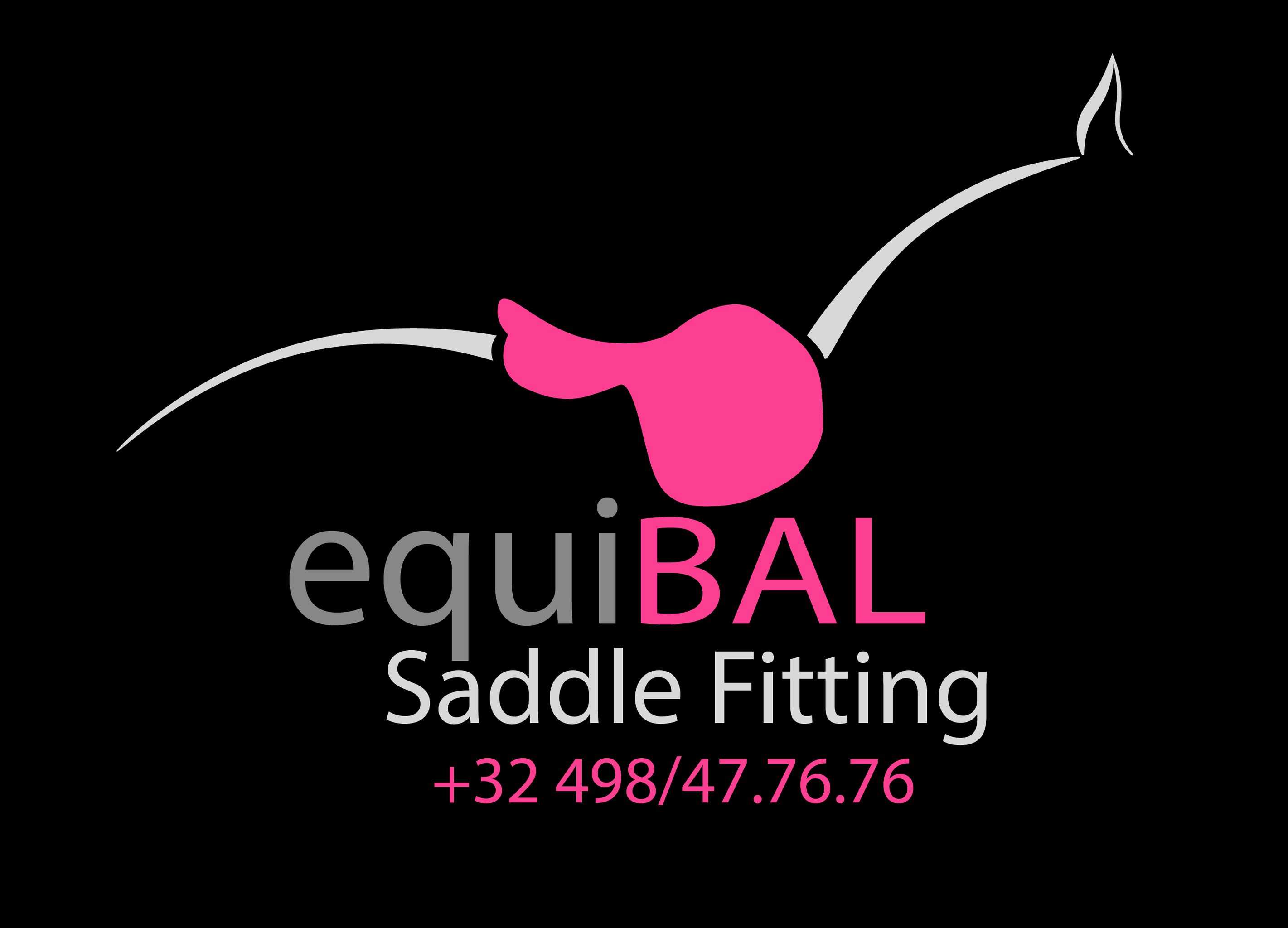EquiBAL saddle fitting