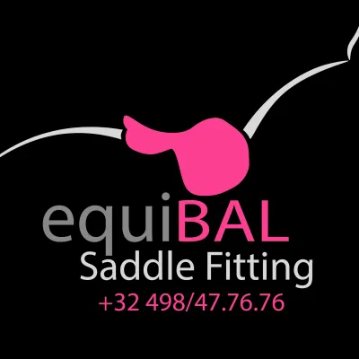 EquiBAL saddle fitting