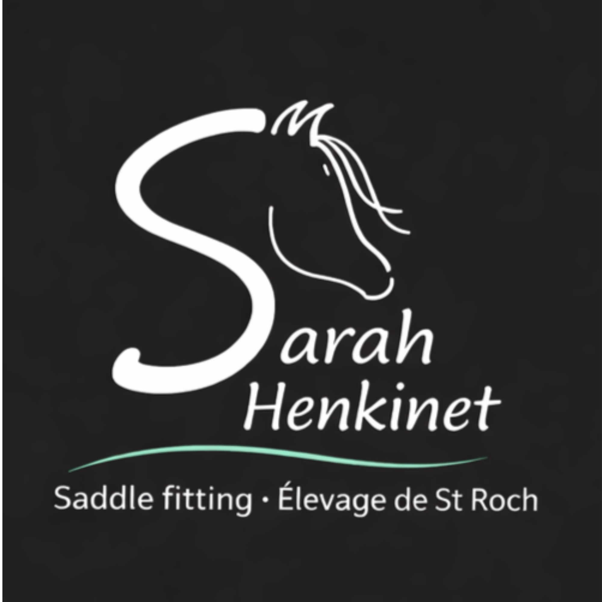 Sarah Henkinet