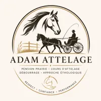 Adam Benjamin