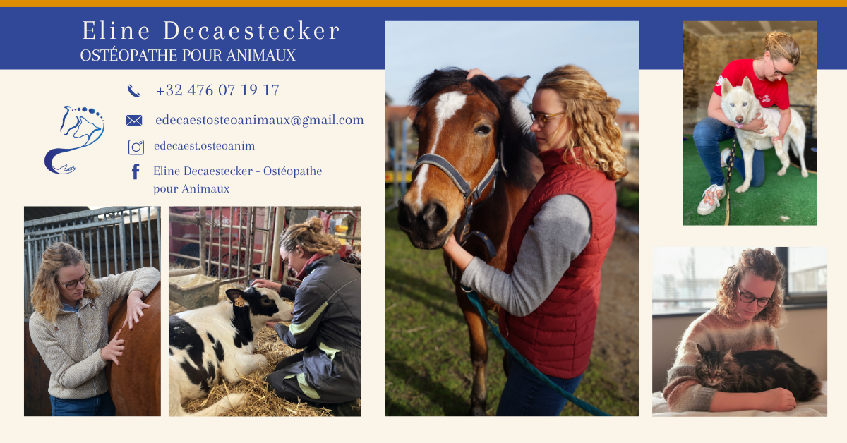 Eline Decaestecker